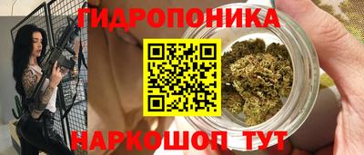 круглые Лесосибирск