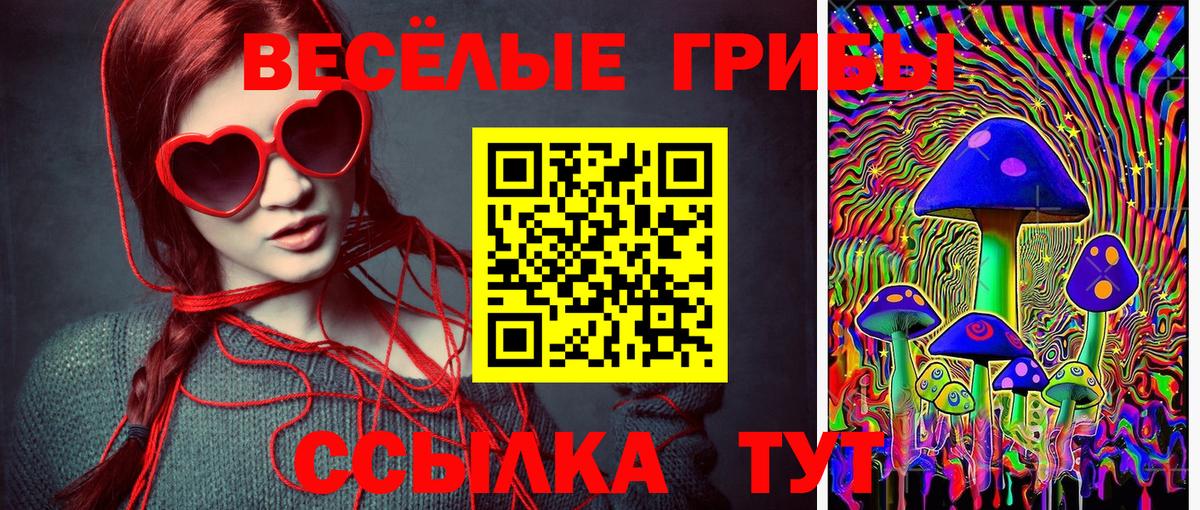 Галлюциногенные грибы мухоморы  Вход с VPN  Галлюциногенные грибы ЛСД  Дзержинск 