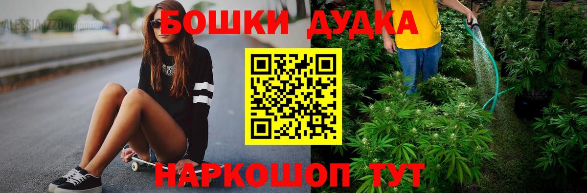 Бошки Шишки план Дзержинск